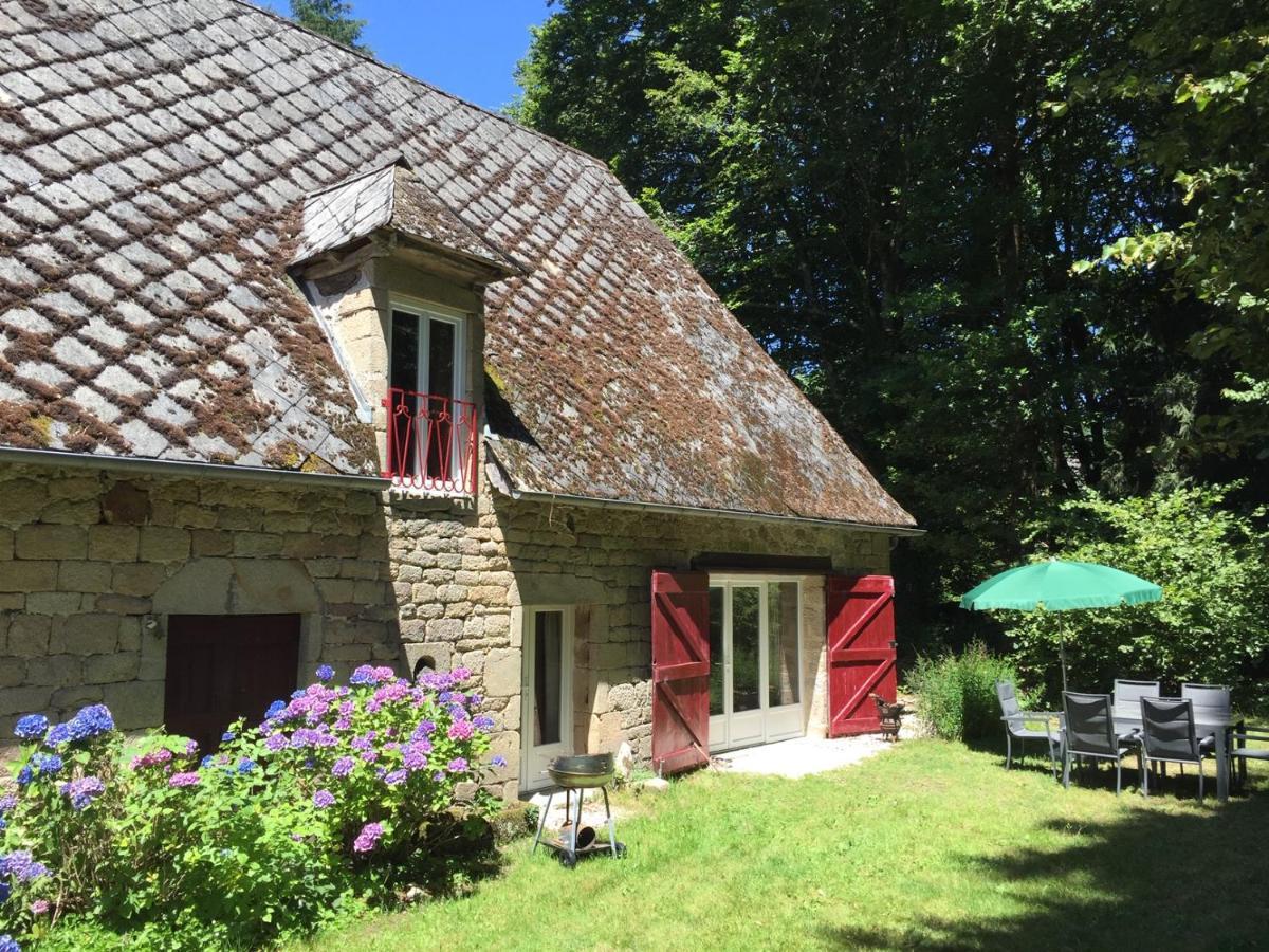 Gites Chateau Le Bois Saint-Julien-aux-Bois Eksteriør billede