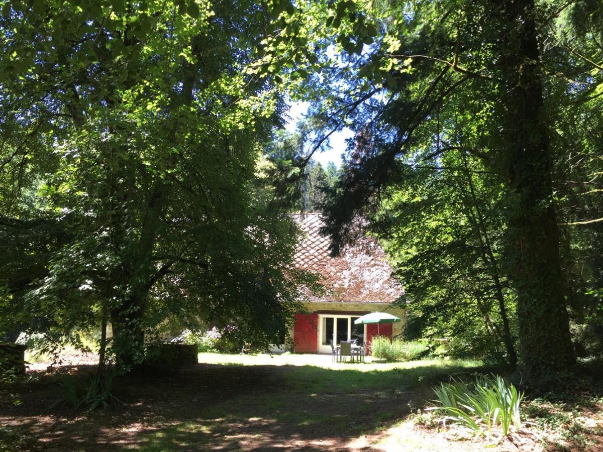 Gites Chateau Le Bois Saint-Julien-aux-Bois Eksteriør billede