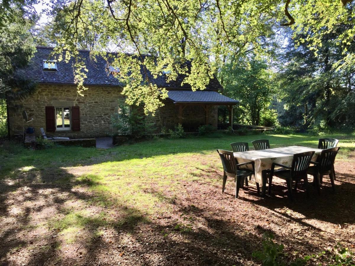 Gites Chateau Le Bois Saint-Julien-aux-Bois Eksteriør billede