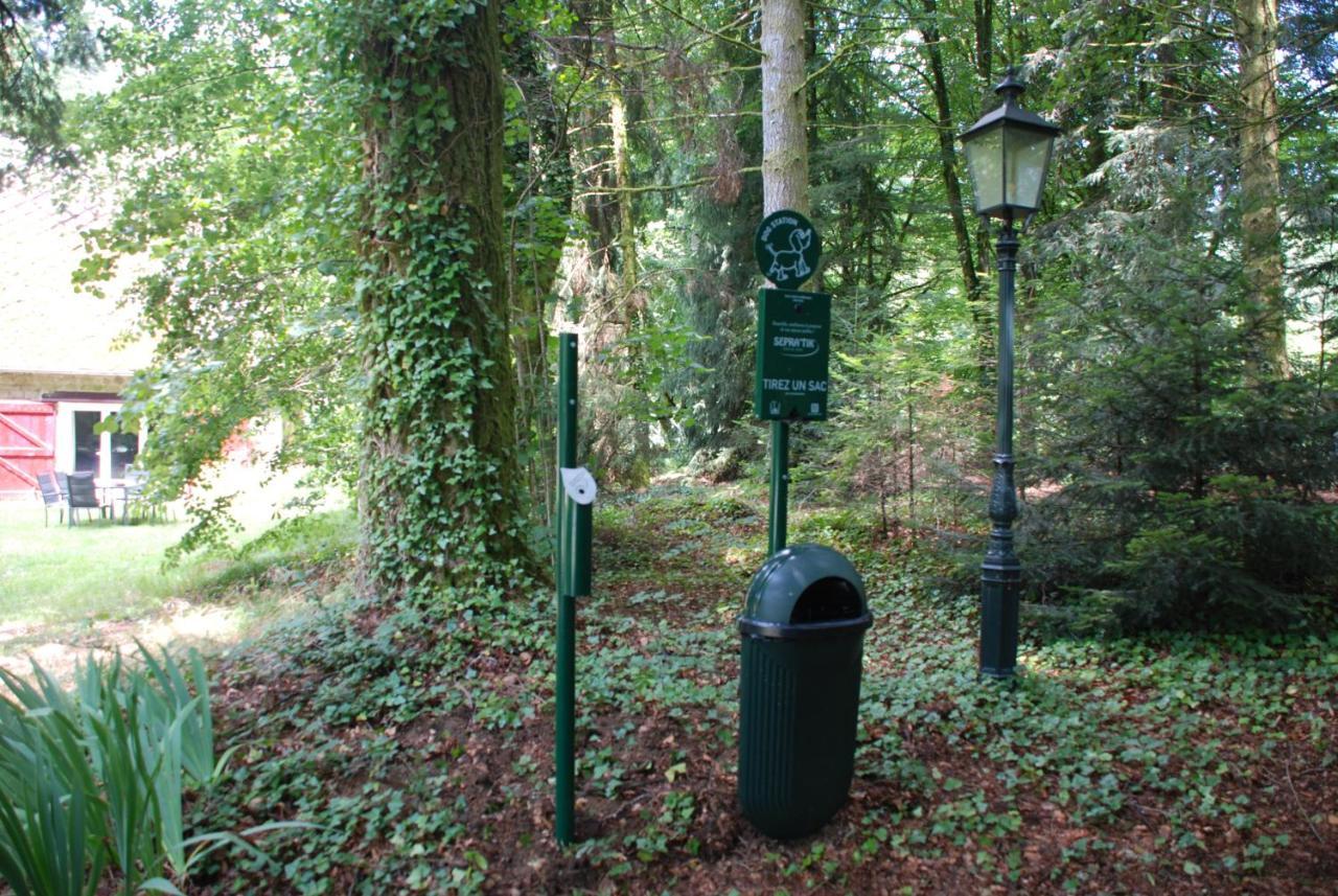 Gites Chateau Le Bois Saint-Julien-aux-Bois Eksteriør billede