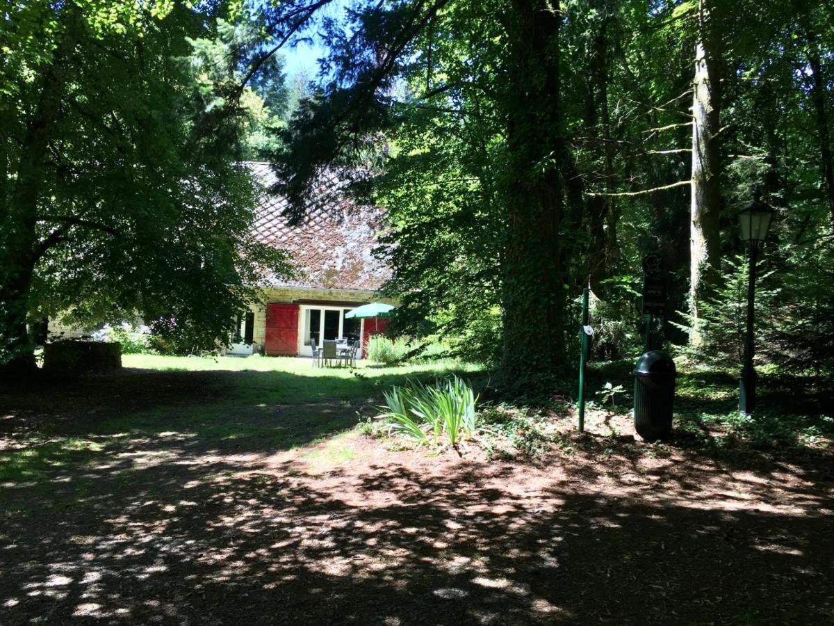 Gites Chateau Le Bois Saint-Julien-aux-Bois Eksteriør billede