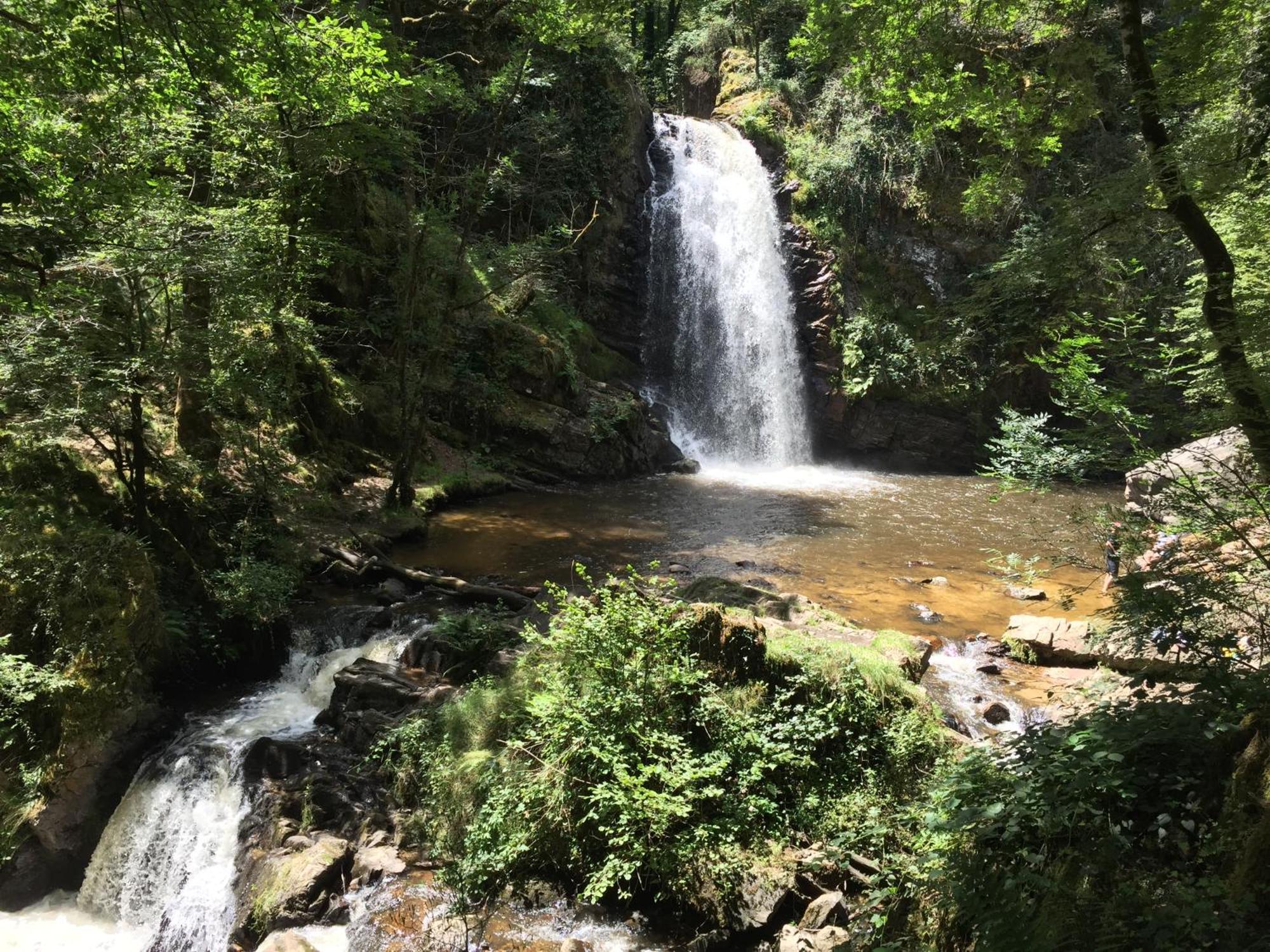 Gites Chateau Le Bois Saint-Julien-aux-Bois Eksteriør billede