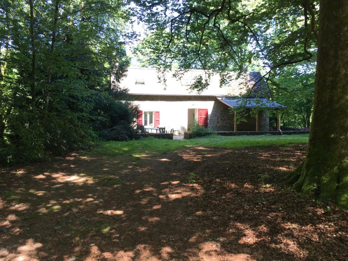 Gites Chateau Le Bois Saint-Julien-aux-Bois Eksteriør billede