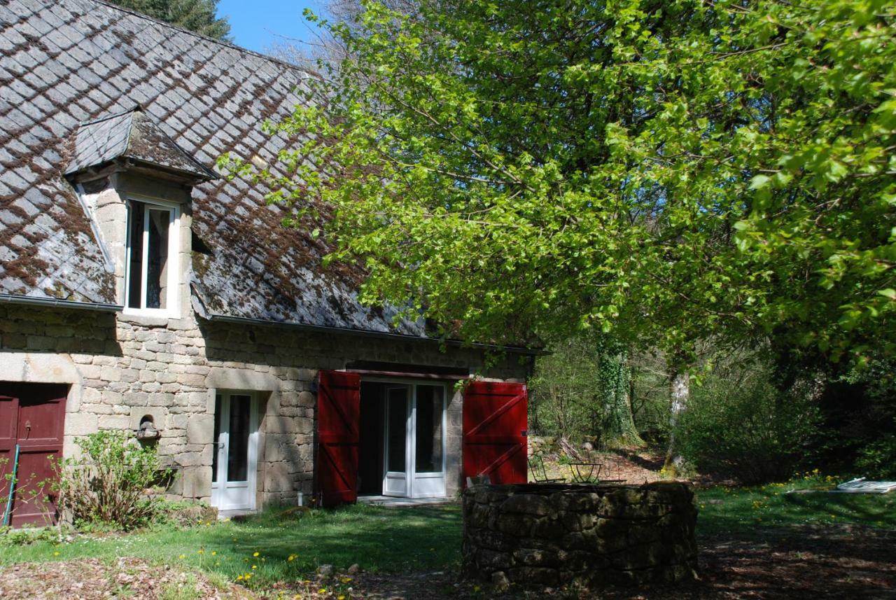 Gites Chateau Le Bois Saint-Julien-aux-Bois Eksteriør billede