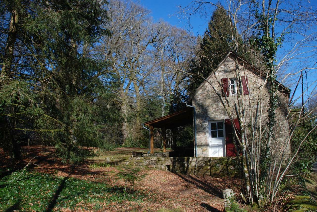 Gites Chateau Le Bois Saint-Julien-aux-Bois Eksteriør billede