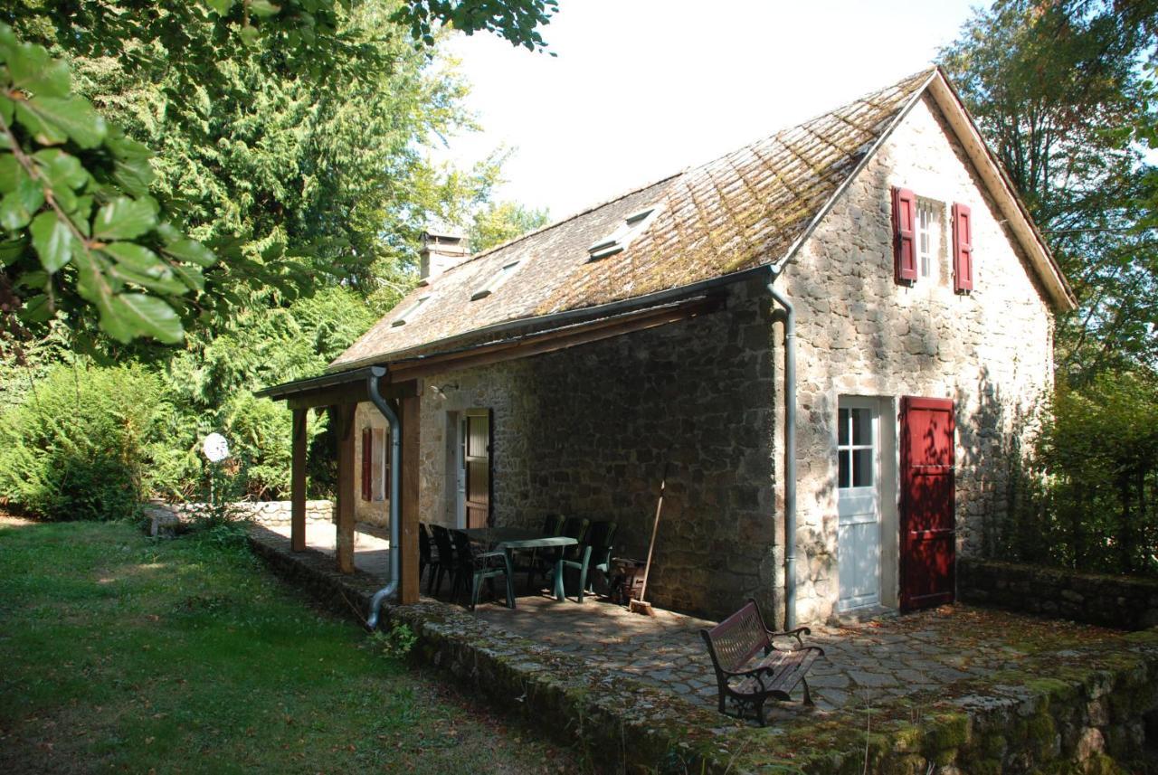 Gites Chateau Le Bois Saint-Julien-aux-Bois Eksteriør billede
